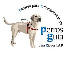 Escuela para Entrenamiento de Perros Guía Para Ciegos I.A.P. celebra su graduación | FOAL